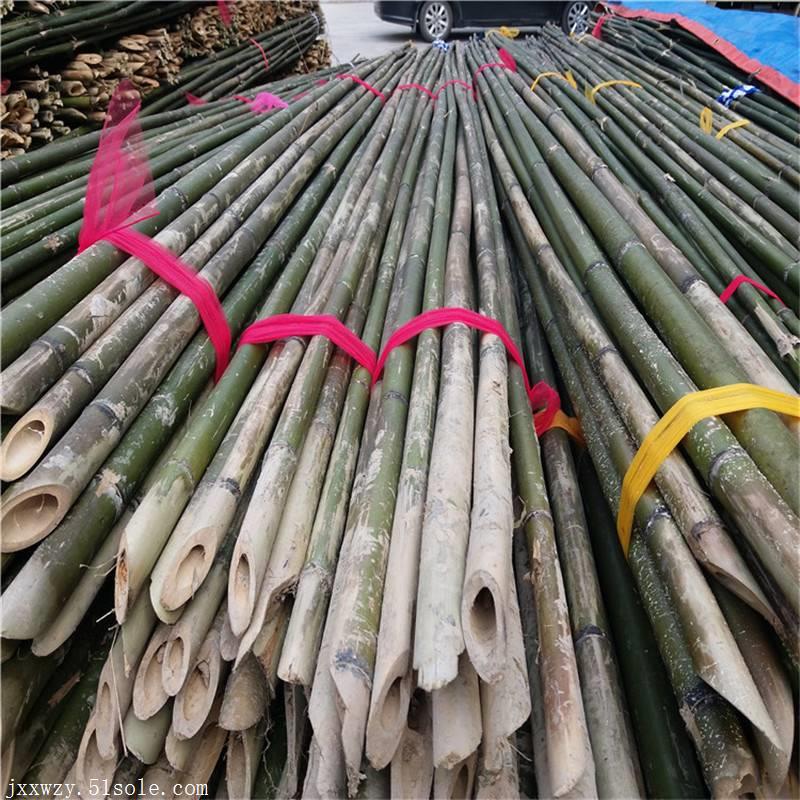 黃瓜菜架竹竿批發(fā)
